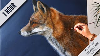 1 hr Painting a Fox in Acrylic | Relaxation & Calming Painting Video | Zen Meditation Painting