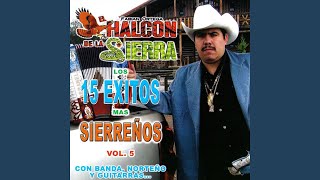 Video thumbnail of "El halcón de la sierra - Corrido De Los Mendoza"