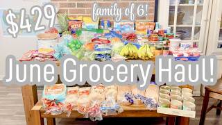 $429 JUNE GROCERY HAUL