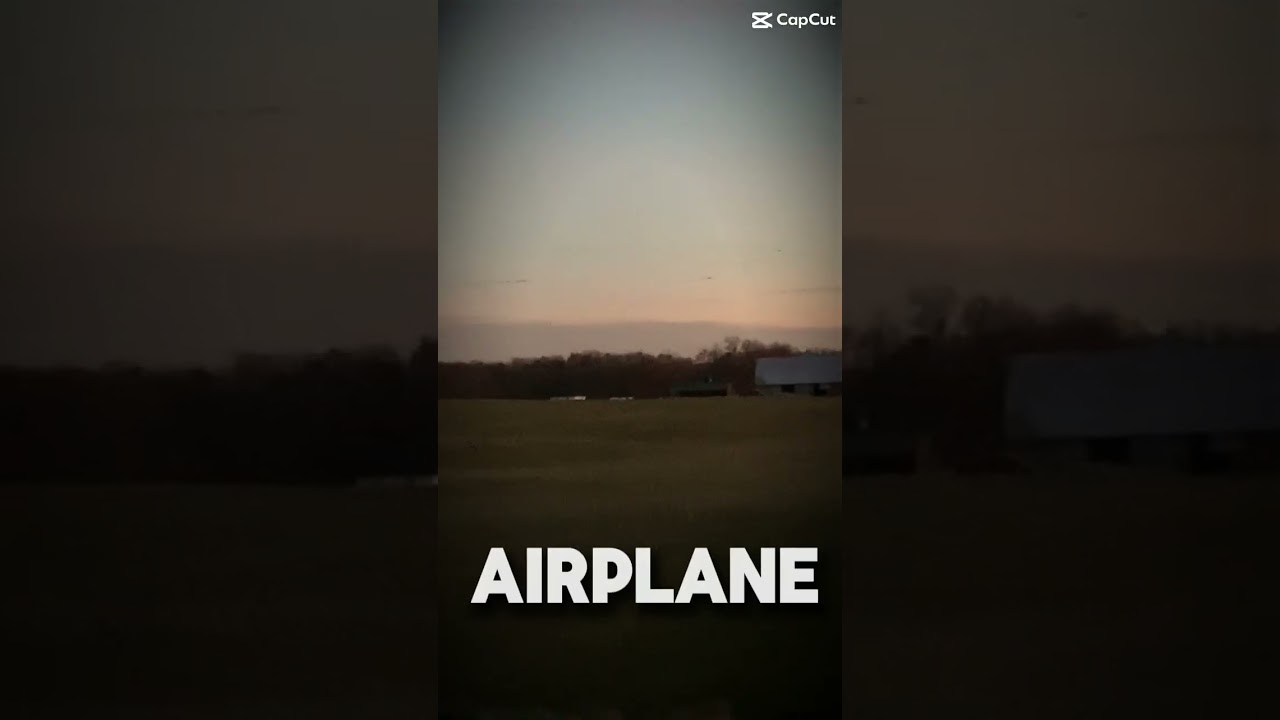 Bunch of geese flying over the farm 