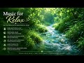 🌿 Music for Relax 🌿 Deep Meditation Music to Calm the Mind • Sleep Music Relax