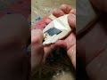 #asmr#soap#мыло#режусухоемыло Резка сухих обмылочек