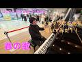 スピッツの名曲を駅で弾いてみた!「春の歌」【上野ストリートピアノ】