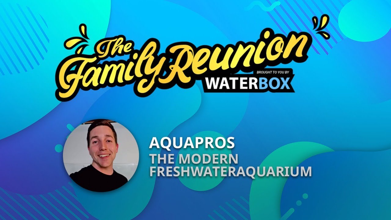 The Modern Freshwater Aquarium. Aquapros at The Family Reunion by