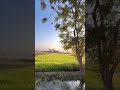 ظن ك بربك هو سر حياتك ابدأ يومك بيقين عند ظن عبدي بي ظن ك بربك هو سر حياتك ابدأ يومك بيقين عند ظن عبدي بي