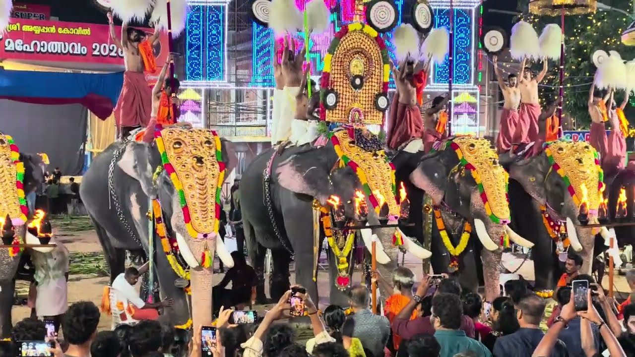 Ernakulam Ayyappan kovil Makaravilakku Maholsavam 2026 | Chembada Melam | Peruvanam Kuttan Marar