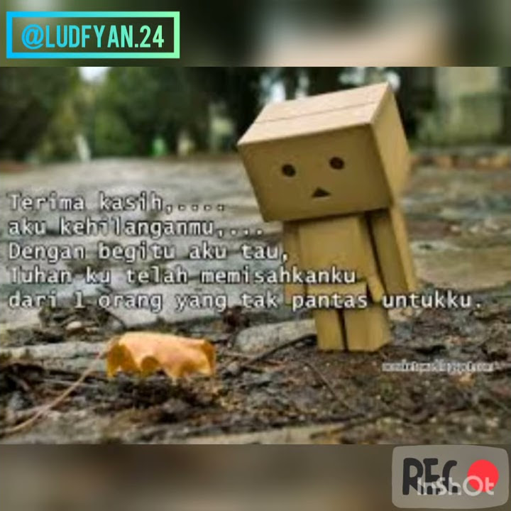 Story wa danbo romantis