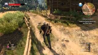 The Witcher 3 Wild Hunt  Temerian Valuables Quest