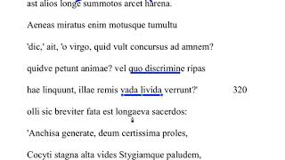 Aeneid 6.315-324