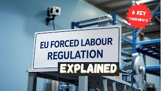 EU Forced Labour Regulation Explained: 6 Key Takeaways & Global Comparisons (CSDDD vs. UFLPA)
