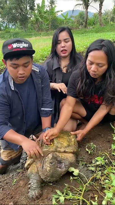 DEDE INOEN TAKIT SAMA KURA KURA MONSTER ISOGU