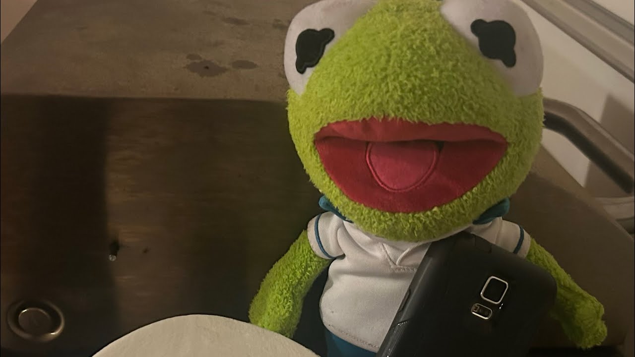 Frog With A Blog 🐸 🎥