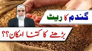 How much is the chance of increase in Rate of Wheat || Crop Reformer