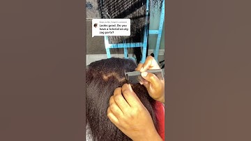 How to get the perfect zigzag part #fyp #shreveportbraider #zigzagtutorial #braidertips