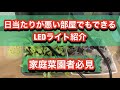 家庭菜園者必見　日当たりが悪くても野菜が作れるLEDライト紹介