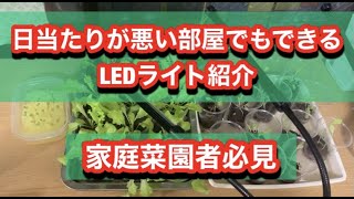 家庭菜園者必見　日当たりが悪くても野菜が作れるLEDライト紹介