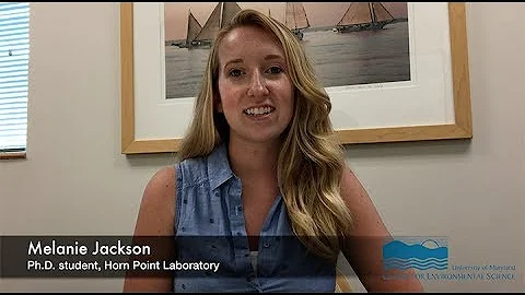 Discovering the Chesapeake with Melanie Jackson