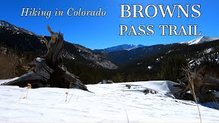 Hiking in Colorado -  Browns Pass Trail