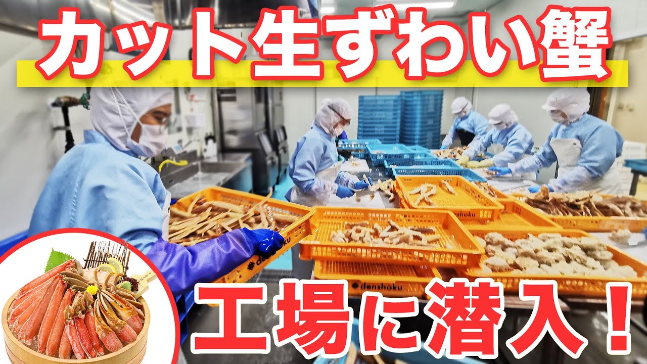 甲羅組】カット生ずわい蟹の工場に潜入してみた！ 【工場見学】【カニ 