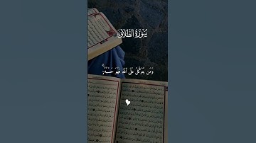 اللهم اجعل القرآن الكريم ربيع قلوبنا 🤲🏻❤ #الله #لايك #اكسبلور