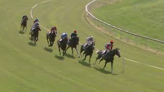 Vidéo de la course PMU PRIX DE NIMES