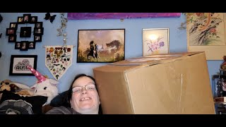 Mysterious box of Mystery - Heroes of Barcadia by Rollacrit