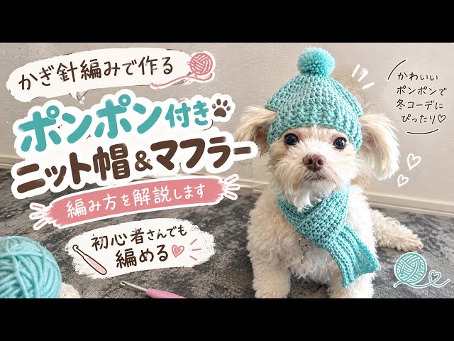 🐕Dog sweatr knitting basic pattern👕 --Part1-- - YouTube