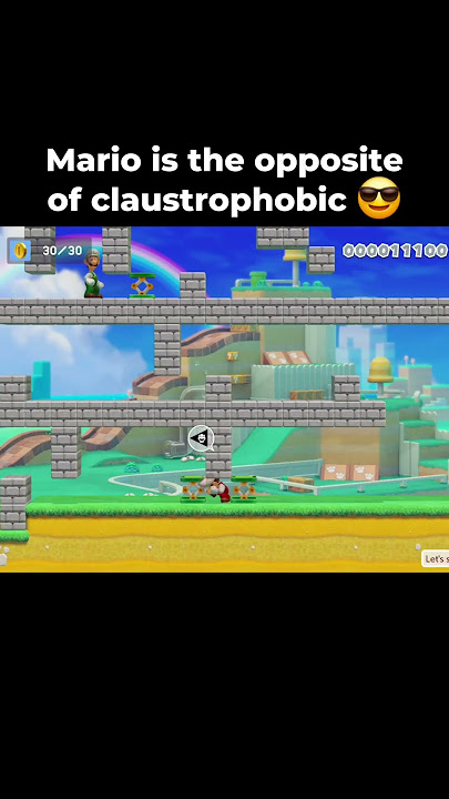 Bro Softlocked On Purpose 😮 #mario #nintendo #nintendoswitch