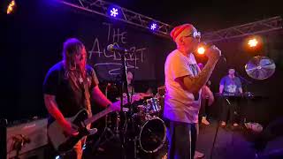 Wonk Unit at The Albert, Brighton playing 'Donkey Of The Damned' on Fri. 10/4/26.