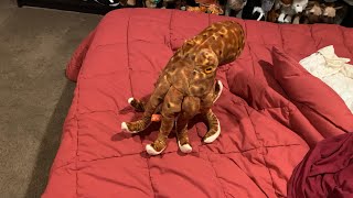 Wild republic octopus 🐙 toy review part 2