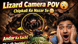 Lizard POV Camera Experiment 😱 Andar Kya Mila? Shocked! #shortvideo #lizard #pov 