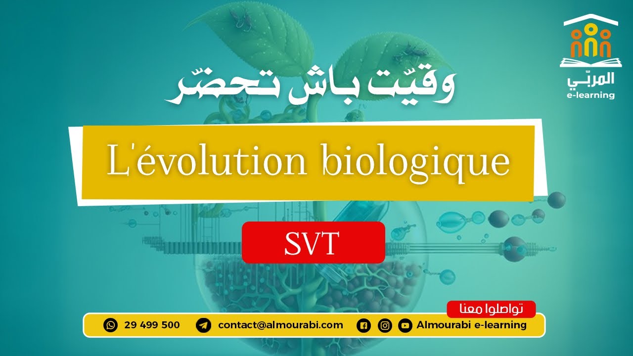 Bac Sciences : SVT - L'Évolution Biologique | Concepts Clés et Explications