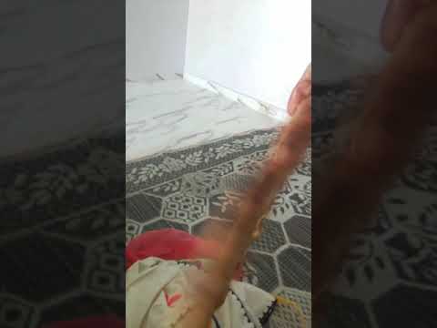 عين الحسود فيها عود 