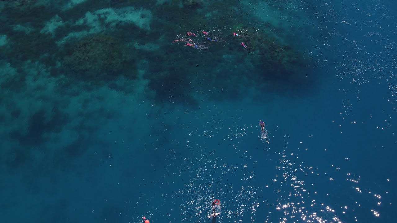 OCEAN FREE Ariel VIEW + snorkellers to Pinnacle Reef