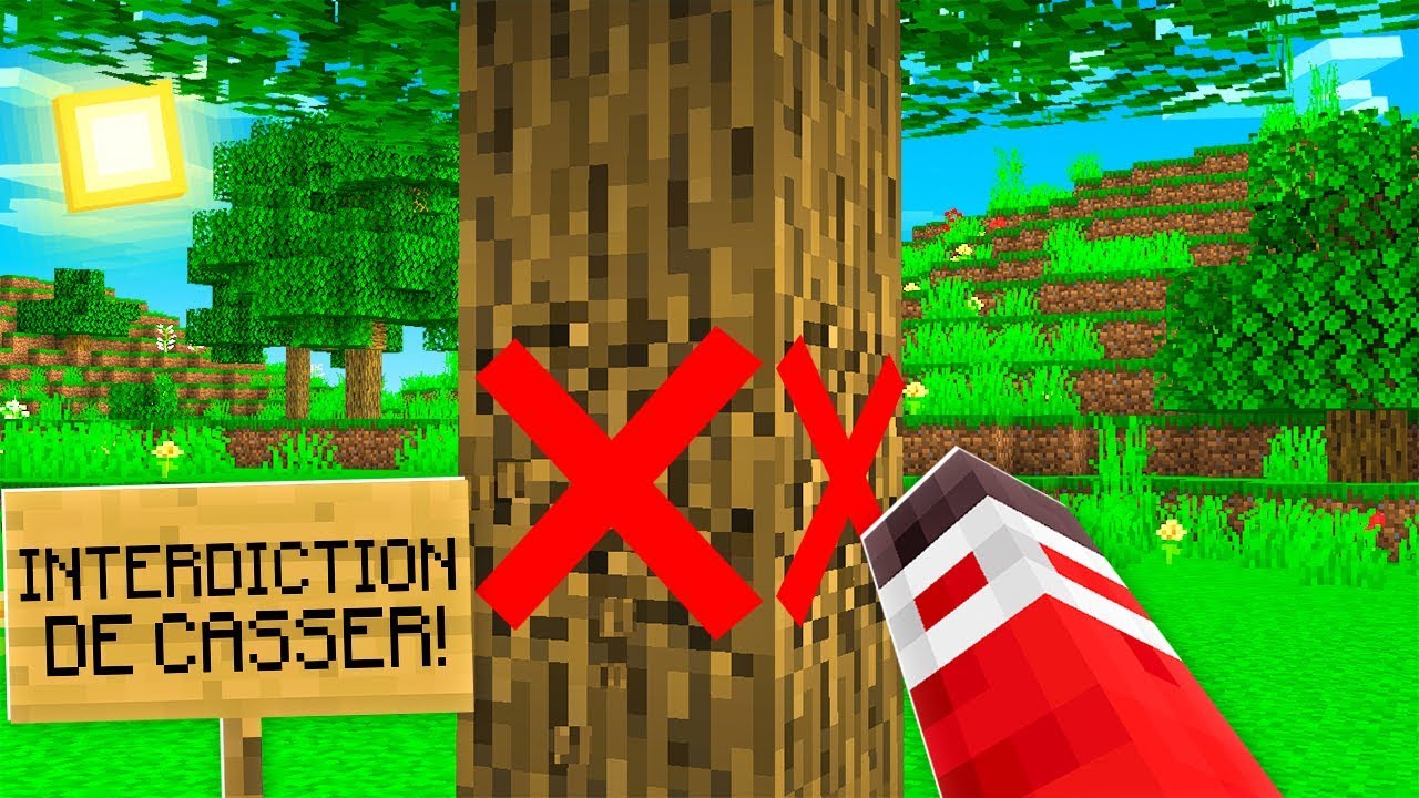 JOUER À MINECRAFT SANS CASSER D'ARBRE ! - YouTube