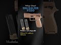 SIG Sauer P320 – Top 3 Uses of This Tactical Pistol | Military, Defense &amp; Shooting.   #tacticalgear