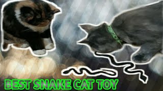 Do You Believe Cat Like Snake Toys by CL CAT LOVER 1,433 views 1 year ago 1 minute, 12 seconds