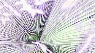 Backsidegorilla - Nicotine