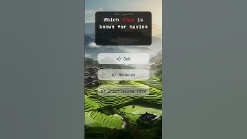 General Question #quiz #trivia #quizgames #quizchallenge