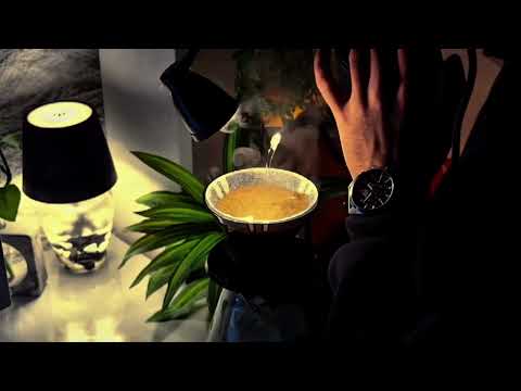 اغاني ترند تيك توك 2026 مطلوبه اكثر شي ترند بتشبه عليا مش فاكر عنيا شيرين كاملة ستوريات انستا 