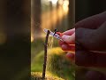 Keychain Mini Chainsaw vs Small Wood Log (Ultra Realistic Forest Cut)