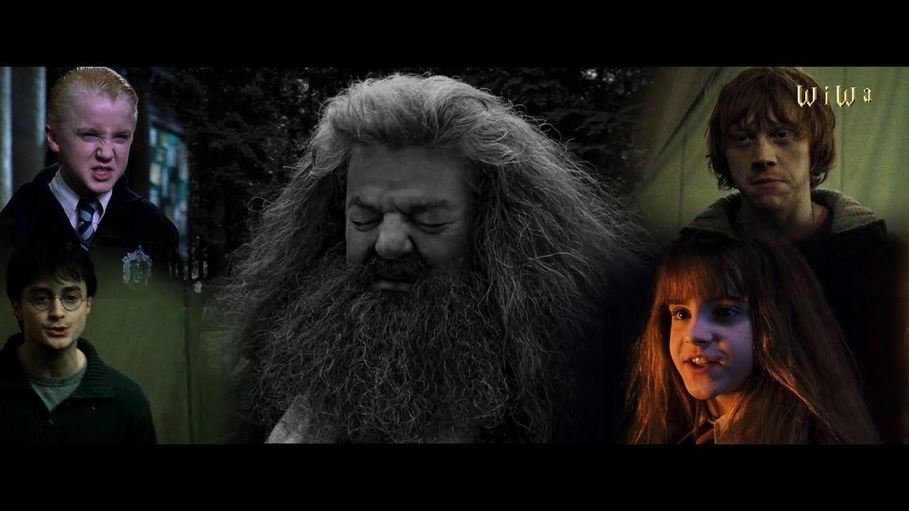 Fresh Dumbledore - Halt die Fresse, Hagrid [WiWa Music Video] (HD)