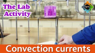 Convection Current - The Lab Activity
