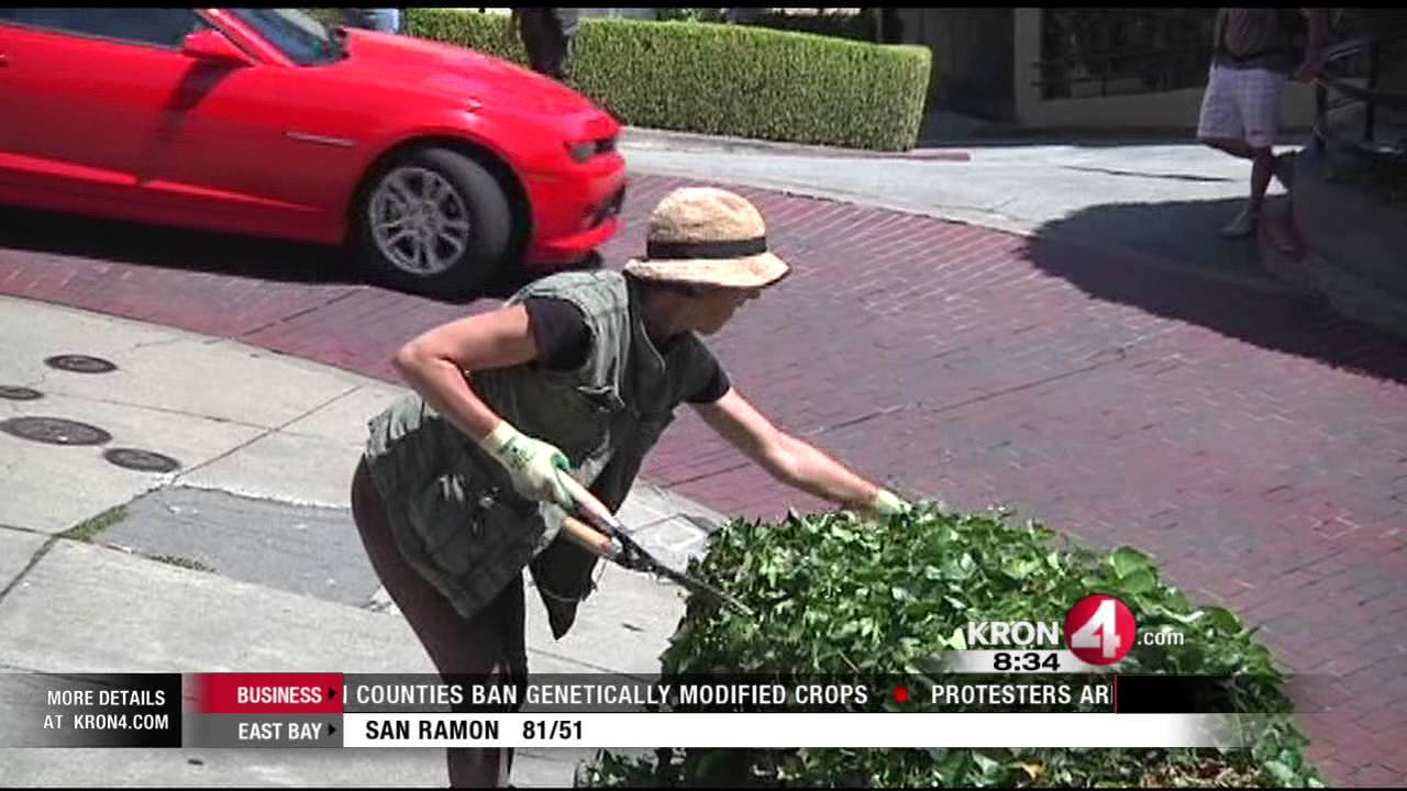 Stanley Finds No Shortage of People Behaving Badly on Crooked Lombard Street