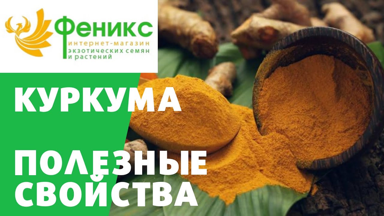Полезные свойства Куркумы