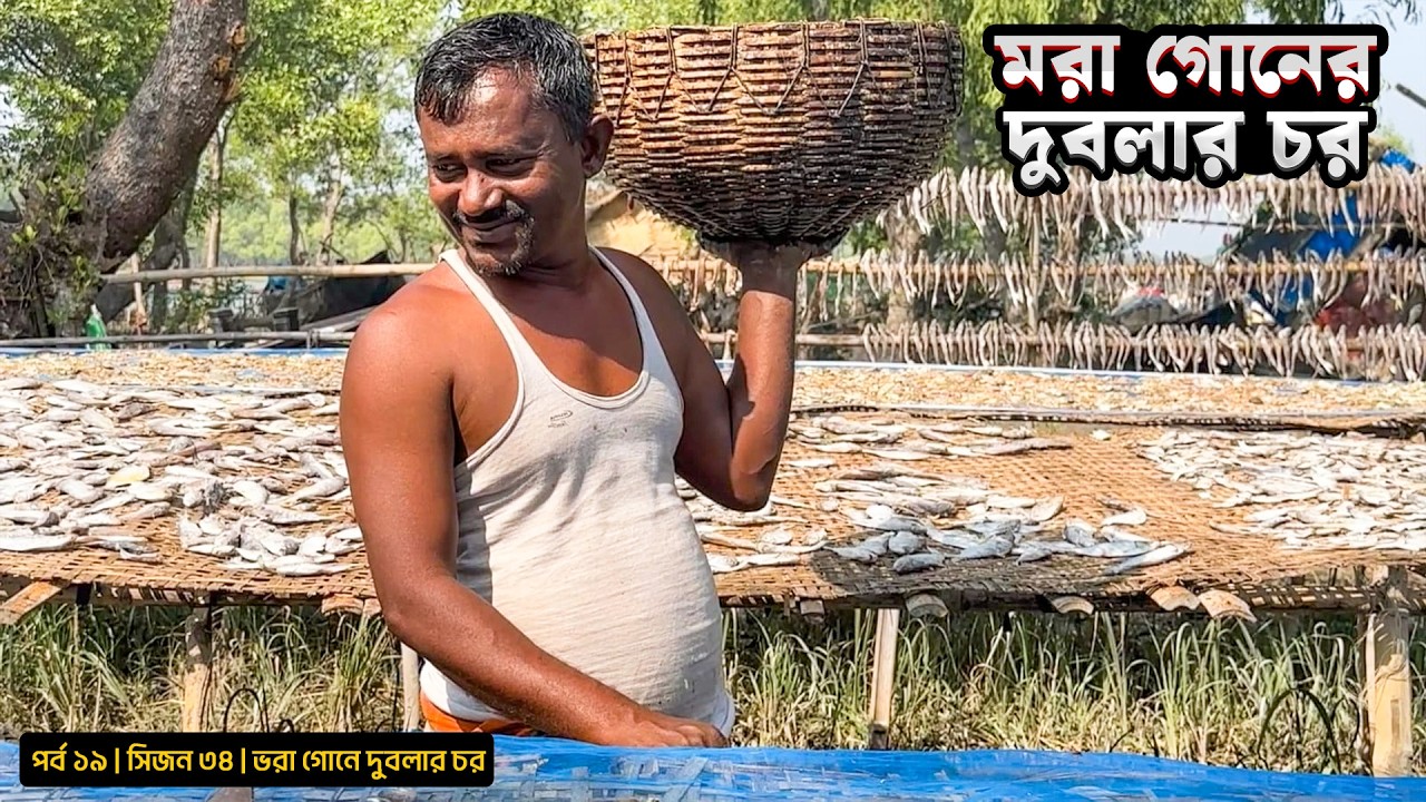 মরা গোনে দুবলার চর | সিজন ৩৪ | পর্ব ১৯ | সুন্দরবন | Belayet Sarder | Mohsin ul Hakim