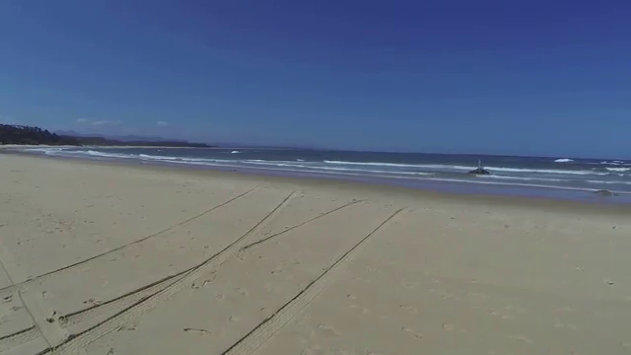 Wenoah Head Beach, Wenoah Head - dogexplorer.com.au