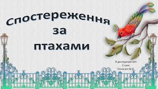 картинка: Спостереження за птахами.  Гніздування птахів.