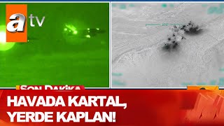 Havada kartal, yerde kaplan! - Atv Haber 17 Haziran 2020