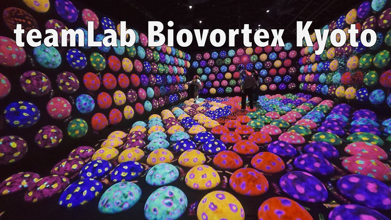 teamLab Biovortex Kyoto